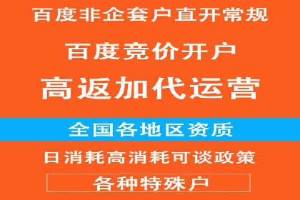 百度SEO推广策略解析：某知名企业的成功经验